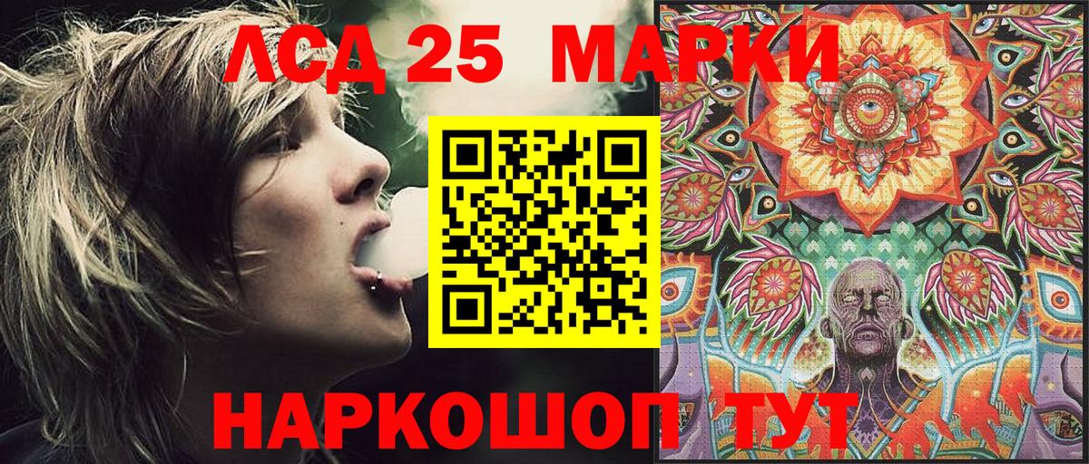 где купить наркоту  Наркотические марки 1,5мг  Светлоград  Марки 25I-NBOMe  Вход с VPN  Наркотические марки 1,5мг 