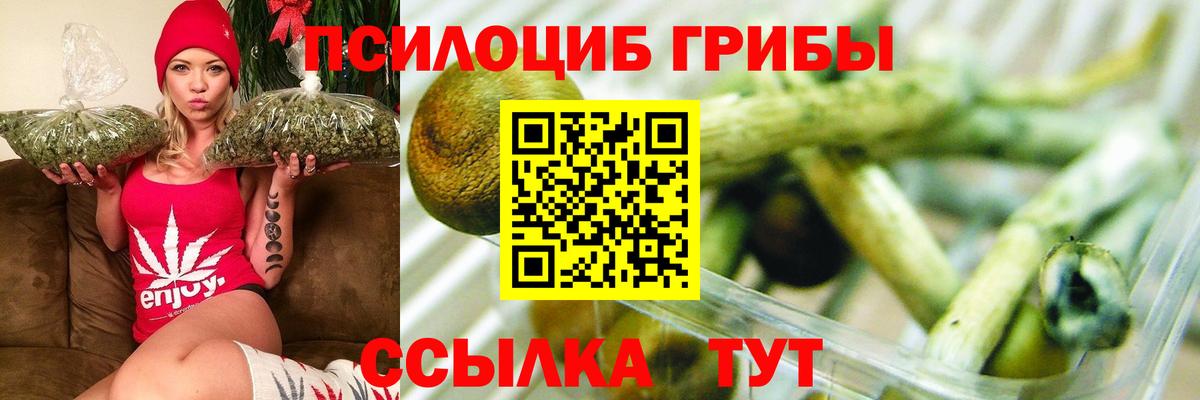 Галлюциногенные грибы GOLDEN TEACHER  Вход с VPN  что такое   Светлоград 